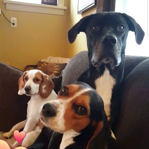 Meet your Posher, Megan